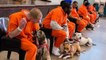 Aller en prison est la meilleure chose qui soit arrivée à ces chiens de refuge. Vous allez vite comprendre pourquoi