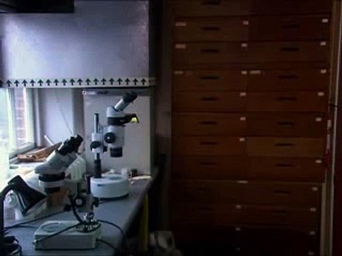 Sensitive Skin Saison 0 - You're my Mummy (EN)