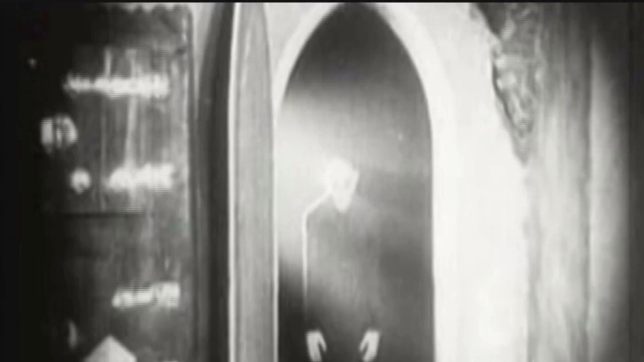 Dracula: vampir oder blutrünstiger herrscher?