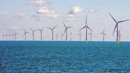 Sussex Daily Bulletin 03.02.22