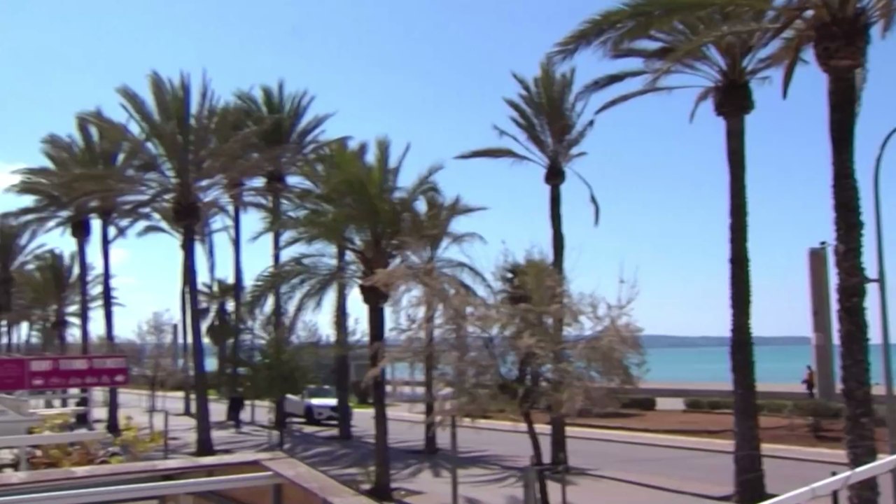 Freude für Malle-Fans: Der Bierkönig öffnet seine Türen