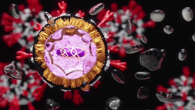 Niemand ist sicher, solange nicht alle sicher sind' : Neue Lambda-Variante breitet sich rasant in Lateinamerika aus