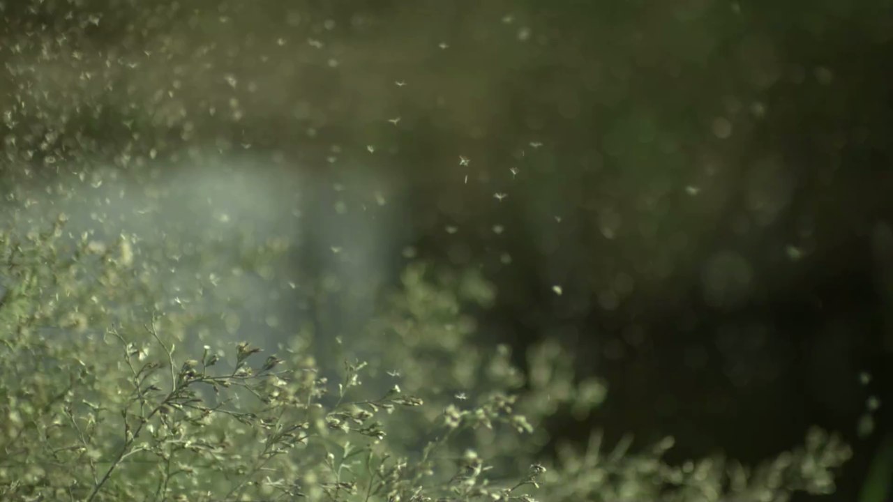 So schlägst du 2 Fliegen mit einer Klappe: Laut einer Studie könnte Sex gegen Heuschnupfen helfen