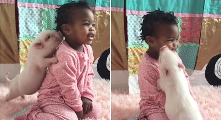 Un bébé cochon s'est pris d'amitié pour une petite fille. Ils sont trop mignons !