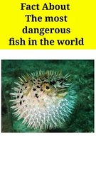 Fact about The Most Dangerous Fish