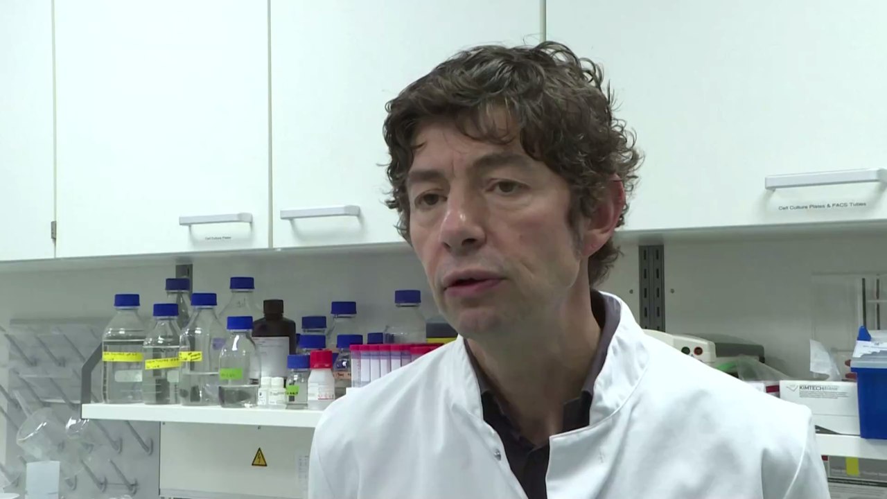 Drosten zu Corona-Laborlecktheorie: 'Es gibt keine belastbaren Anhaltspunkte!'