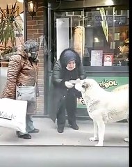 Elindeki yiyecek sıcak olduğu için, köpeğe üfleye üfleye yediren güzel yürekli ablamız 