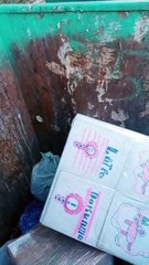 Kedi yuvalarını çöpe atanlara vicdan dersi veren kartoncu kardeşimiz