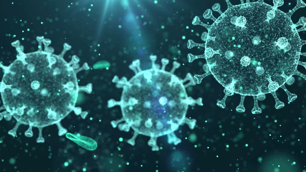 China: Neue Coronaviren entdeckt