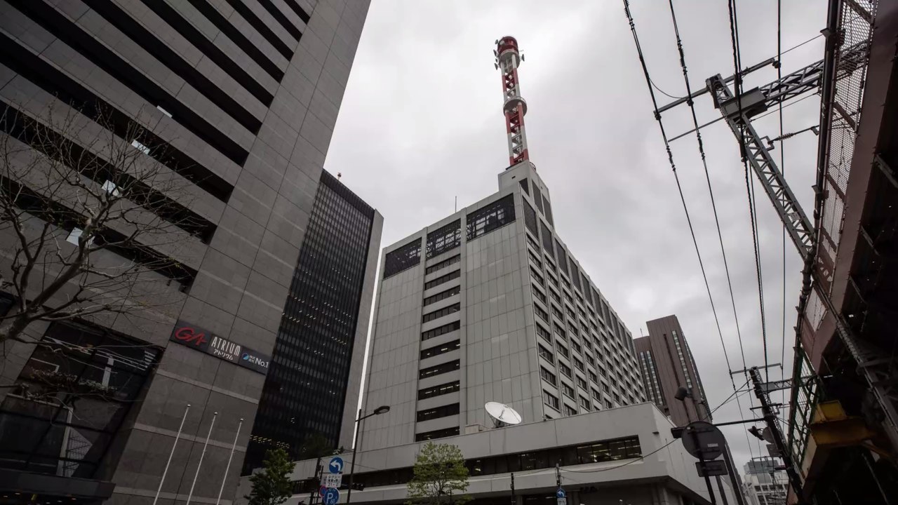 Nuklear-Schweine: Forscherteam entdeckt neue Tierpopulation in Fukushima