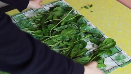 Avec cette astuce, vous pourrez conserver votre salade jusqu'à 3 semaines !