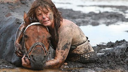 Ce cheval était condamné à mourir coincé dans la boue. Mais une équipe est venue à son secours
