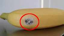 Elle fait une effroyable découverte dans son sachet de bananes