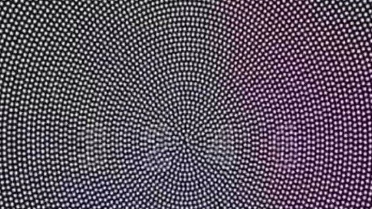 Dieses Rätsel verrät, welche Art von Sehproblem ihr habt!