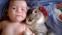 Ce petit chat adore le bébé et lui fait plein de câlins !