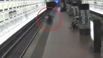 Il frôle la mort en tombant sur les rails du métro avec son fauteuil roulant