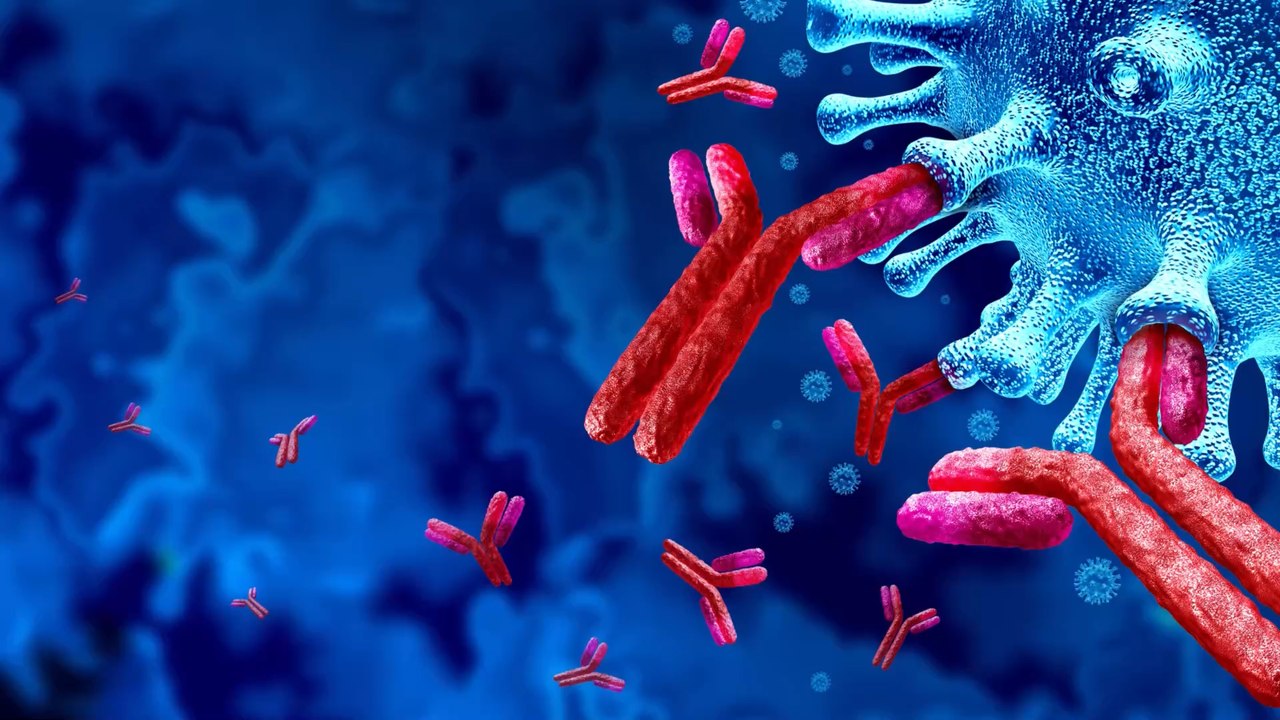 Nanobodies: Antikörper aus Alpakas könnten die Lösung gegen das Coronavirus sein