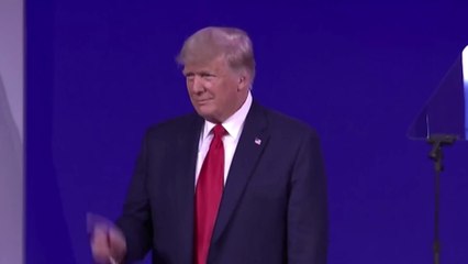 Donald Trump: Das sind seine Ex-Frauen