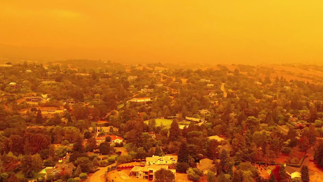 Das Klima bestimmt, wie groß wir werden!