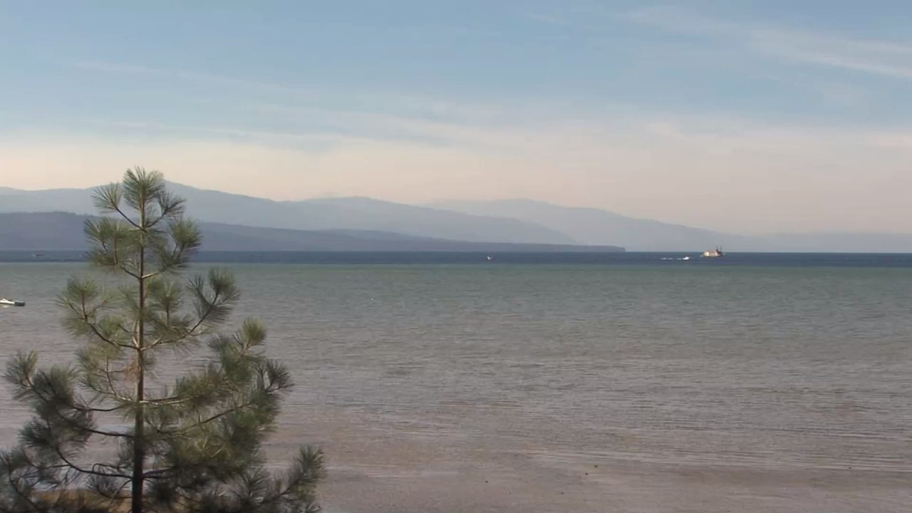 'Vorsicht vor Tieren': In den USA geht die Beulenpest um