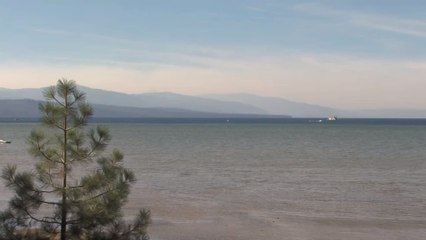 "Vorsicht vor Tieren": In den USA geht die Beulenpest um