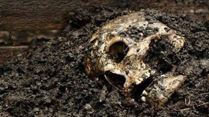 Qu'arrive-t-il à votre corps après la mort ?