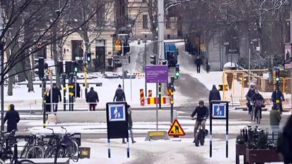 Oms: "L'Europa ha l'occasione storica di archiviare la pandemia"
