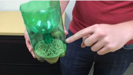 Les moustiques vous envahissent ? Voilà comment s'en débarrasser très facilement !