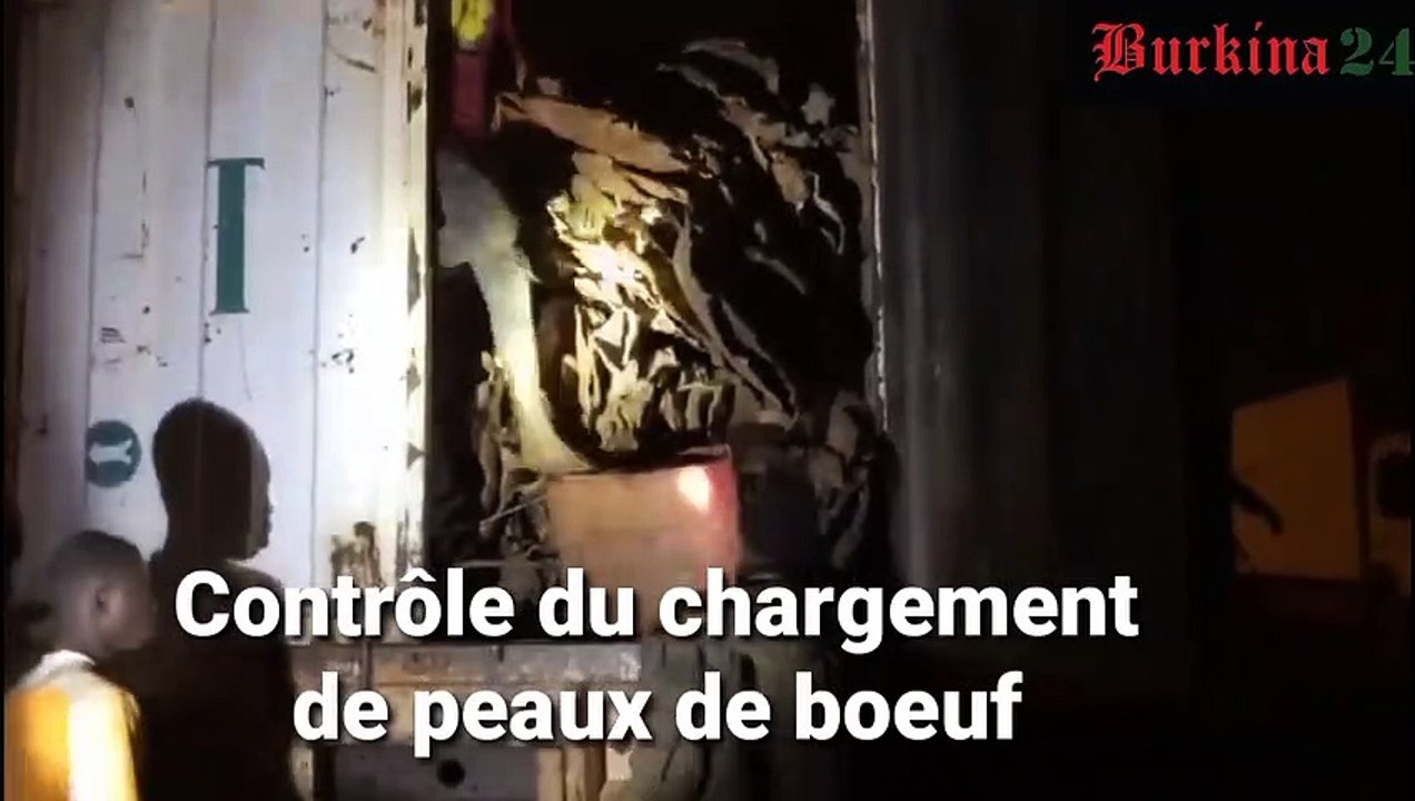 Patrouille nuit avec la brigade anti-criminalité (BAC)