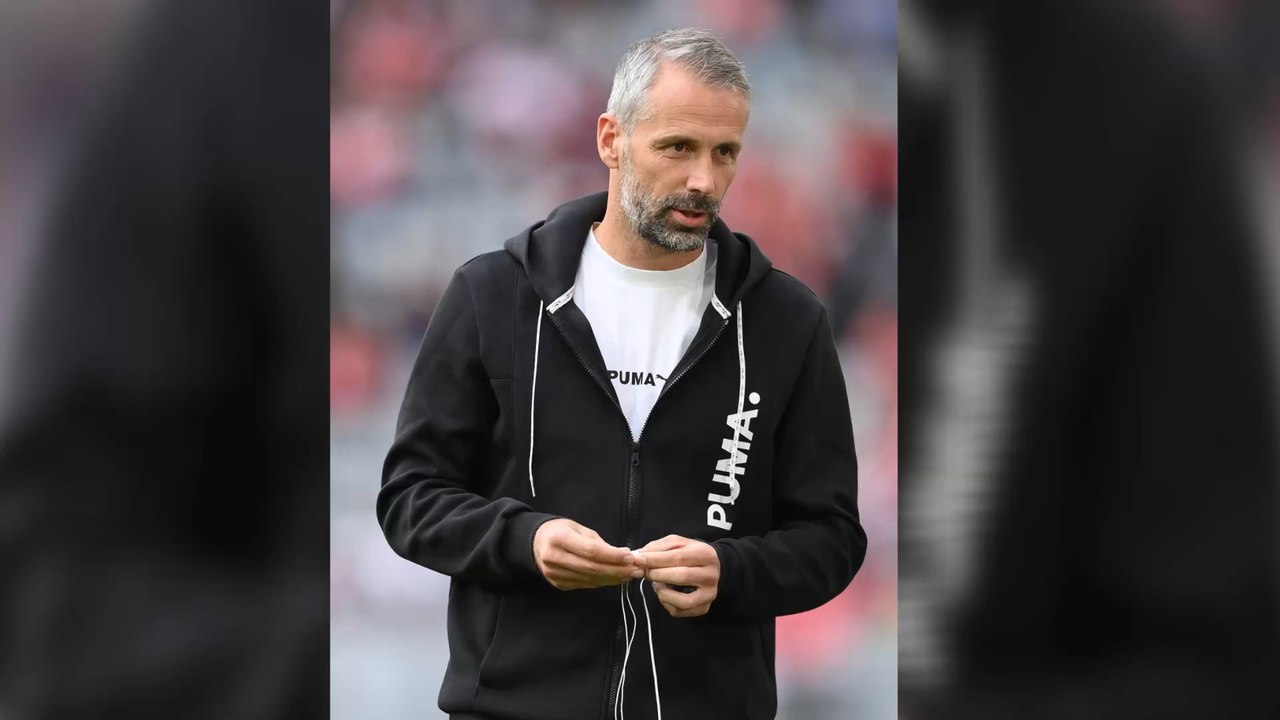 'Hinters Licht geführt und verarscht': Fußball-Fans mobilisieren gegen BVB-Trainer Rose