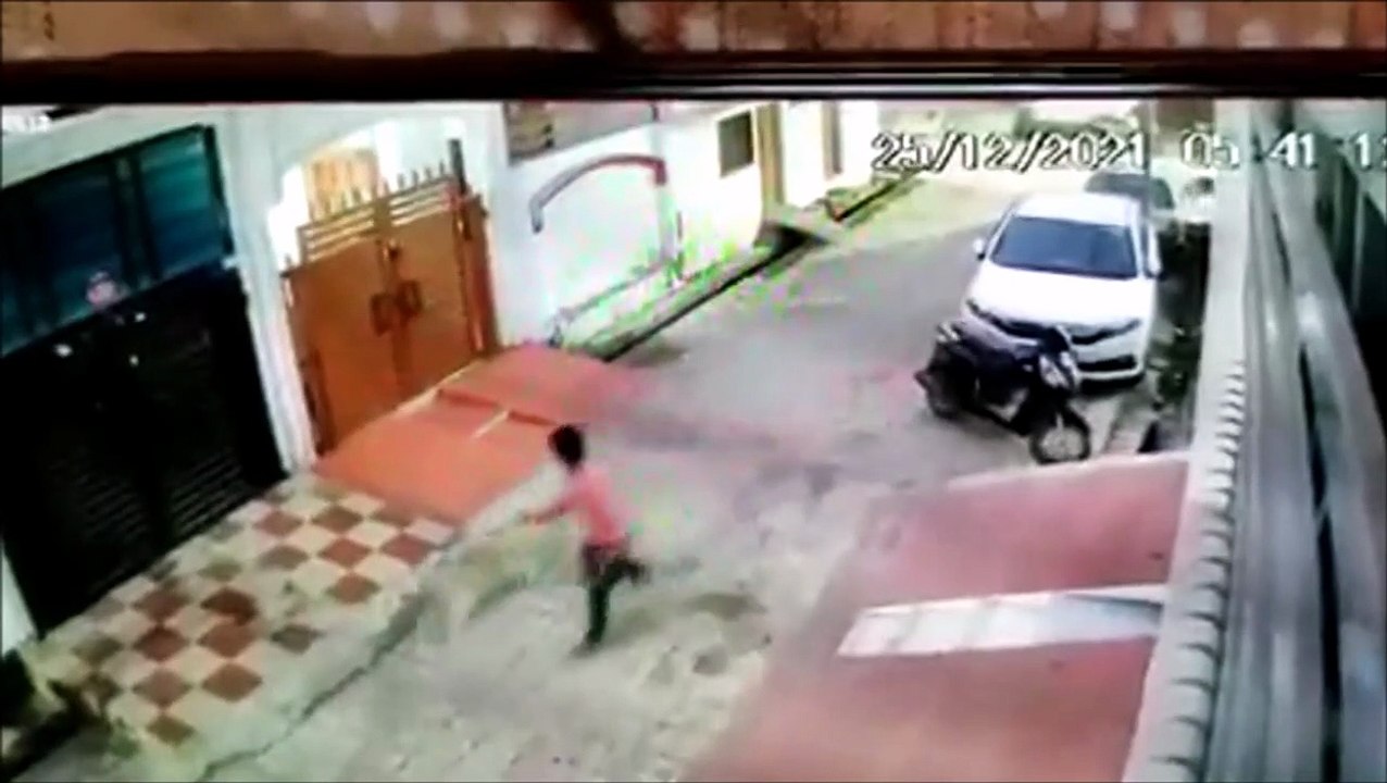 Un léopard débarque en pleine rue... flippant