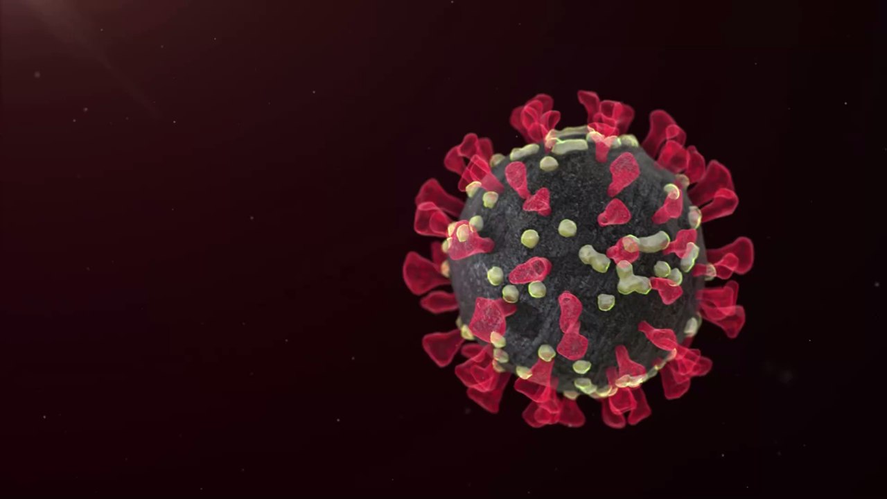 Erstaunliches Phänomen: Einige Patienten:innen entwickeln eine 'übermenschliche' Immunität gegen Covid-19
