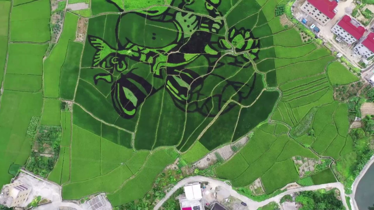 Putian, China: Fast 3 Millionen Menschen wieder im Lockdown