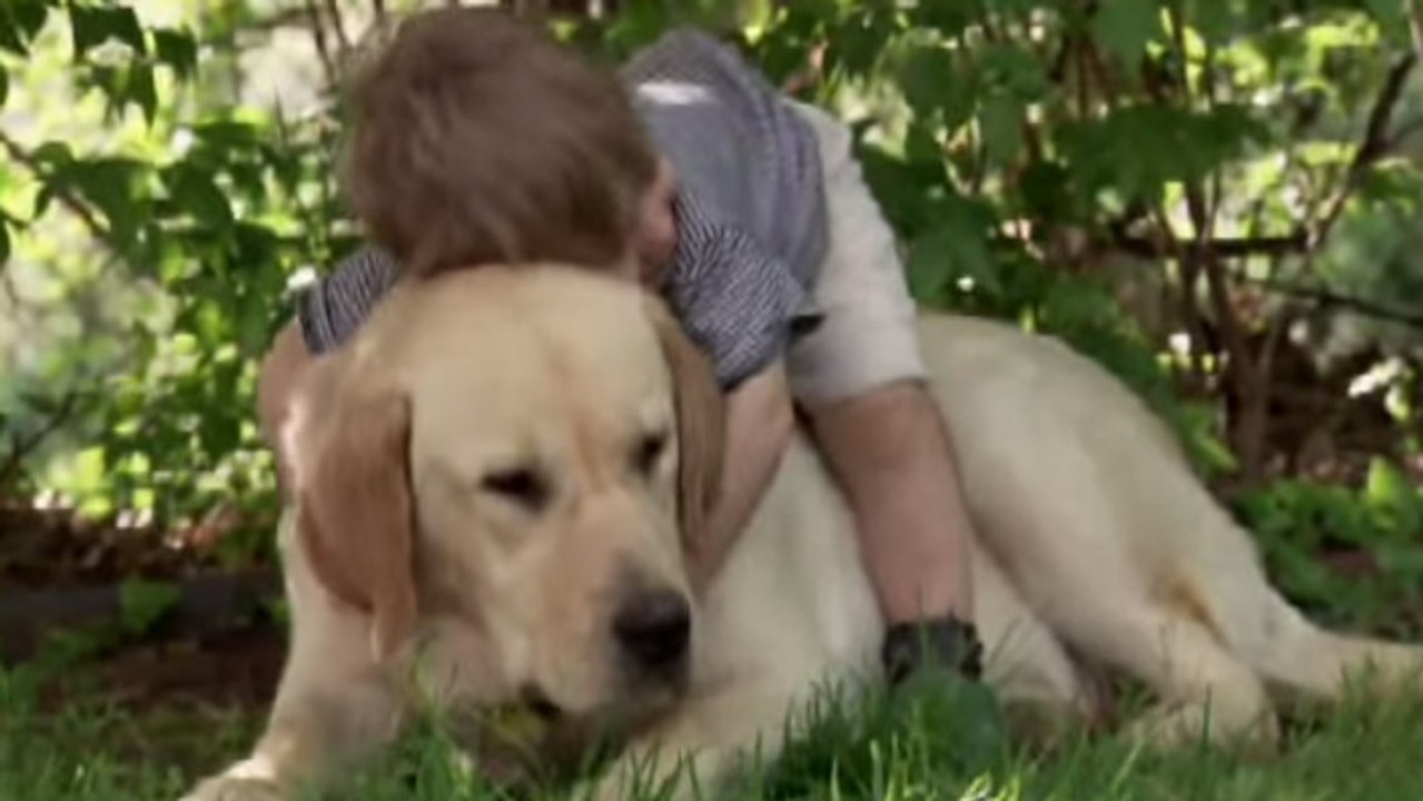 Ce chien et ce petit garçon ont une relation ex...