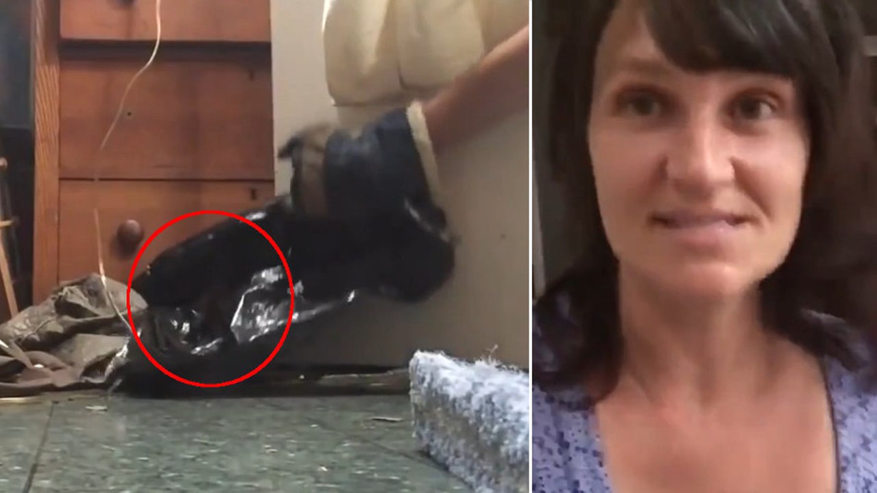 Elle croit qu'une bête sauvage se cache chez elle, mais ce qu'elle découvre est trop mignon !