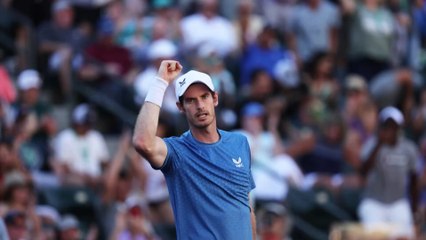 "Ich bin ein Idiot": Bei Tennis-Star Andy Murray hängt der Haussegen schief