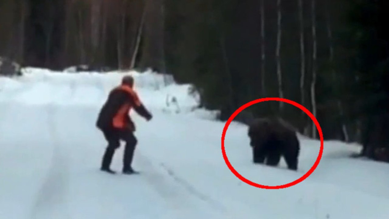 Attaqué par un ours, il trouve la technique pour l'effrayer en 1 seconde !