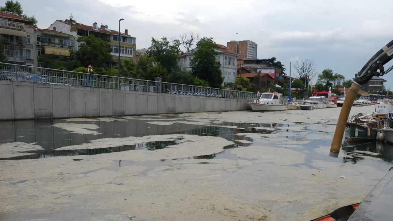 'Marmarameer ist jetzt ein totes Meer': Ein Jahr nach Meeresrotz-Katastrophe folgt die düstere Bilanz