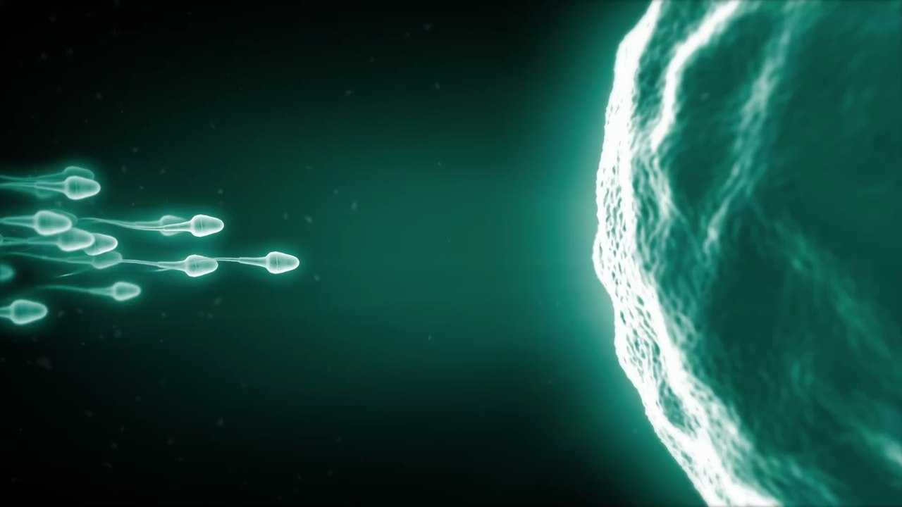 Laut Studie: Fischöl verbessert die Spermienproduktion