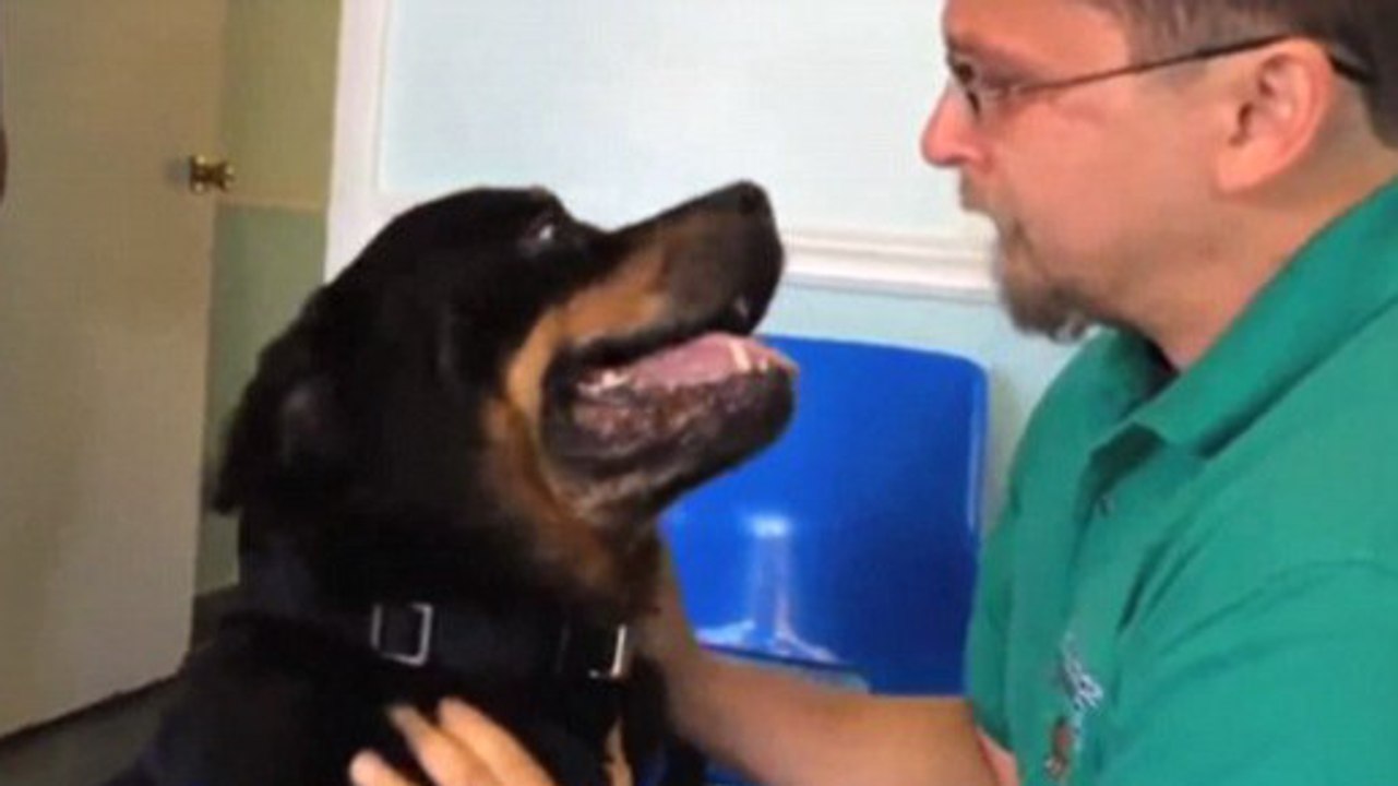 Cet homme retrouve enfin son chien enlevé il y a 8 ans