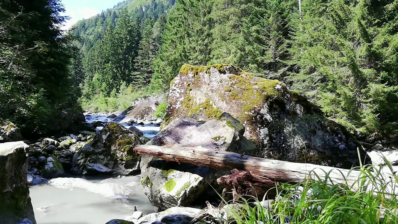WHAT A STUNNING SCENE OF NATURE