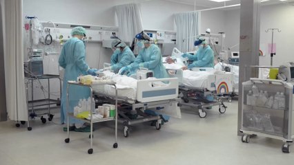 Laut Studie: COVID-Pille von Pfizer verhindert den Tod um fast 90 %