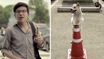 Ce chien fait un cadeau magnifique à l'homme qui l'a nourri