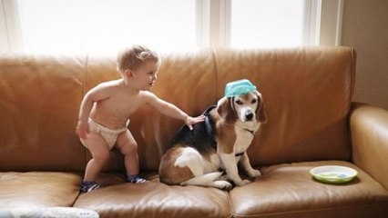 Un enfant écrit à son chien au paradis et reçoit une réponse touchante