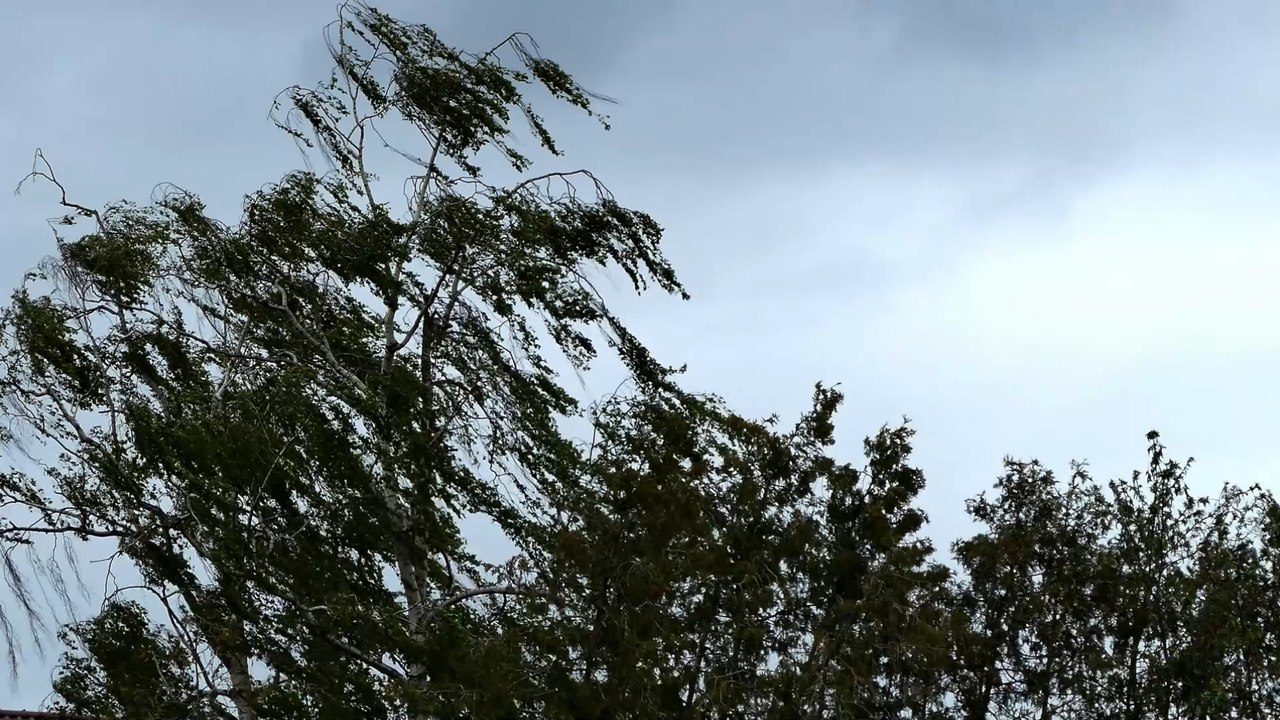'Kurzlebige Tornados' in Deutschland: Erste Auswirkungen von Sturm Ignatz