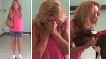 Une femme fond en larmes en allant chercher son chien paralysé