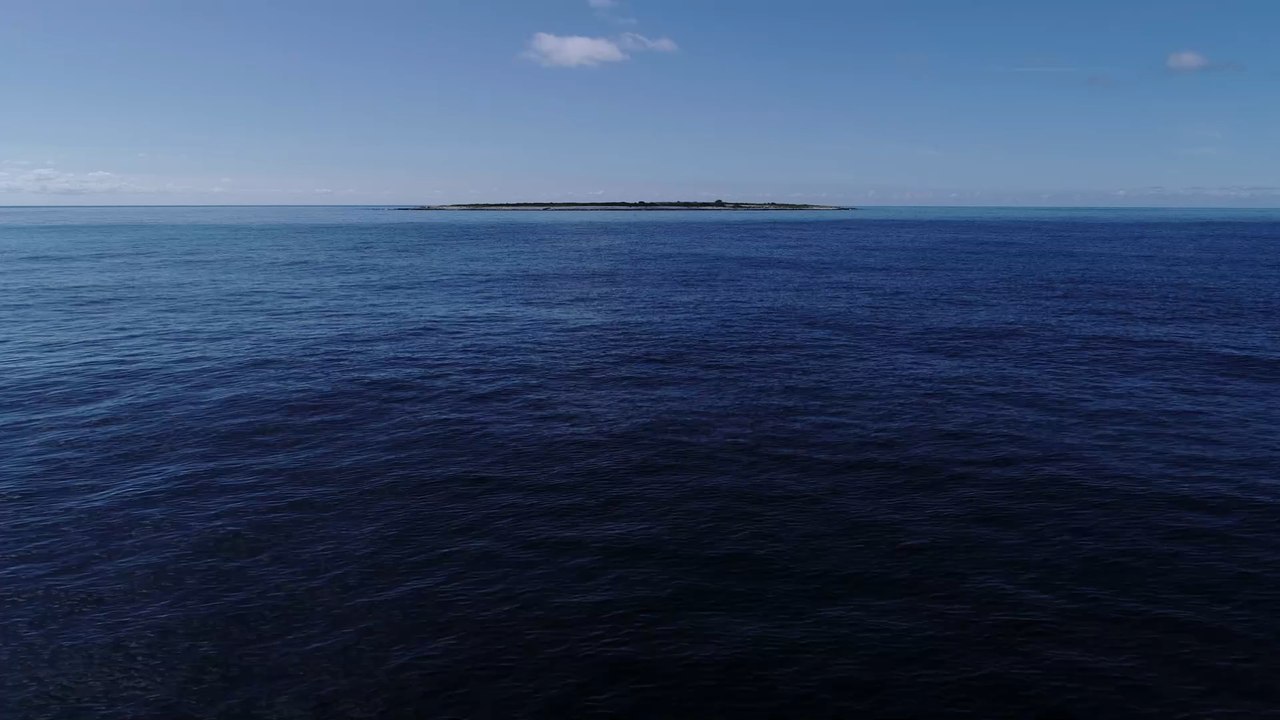 Holland will mit Mega-Deich auch Norddeutschland vor dem steigenden Meeresspiegel retten