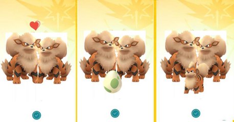 Pokémon Go : la reproduction des Pokémon pourrait arriver très bientôt