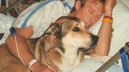 Un homme rend hommage à son chien en train de mourir