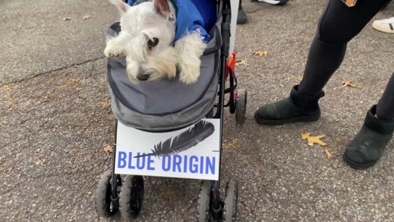 Weltraumtourismus: Tom Hanks erteilt Jeff Bezos eiskalte Absage